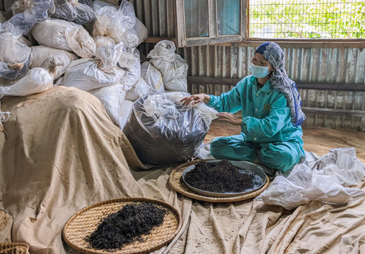 Nepal Tea Collective